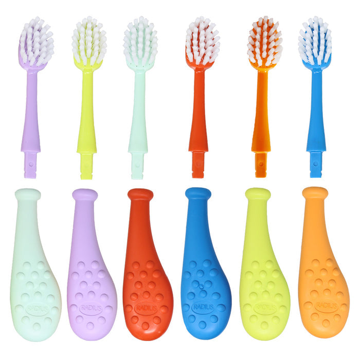 The Big Kidz® Forever Brush™ by Radius features ten vibrant toothbrushes with removable heads and bio-based bristles. Arranged in two rows, they have textured grips in teal, lavender, red, blue, yellow, and orange handles. Their slim necks hold white or orange bristles for efficient cleaning.