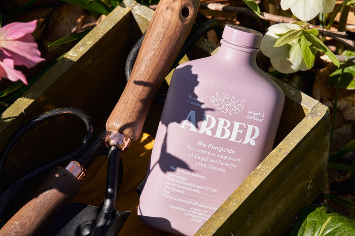 A wooden crate holds a pink bottle of Arber Bio Fungicide Indoor/Outdoor Concentrate, claiming For control and suppression of fungal and bacterial plant diseases. Sunlight hints at its promise for stronger plants.