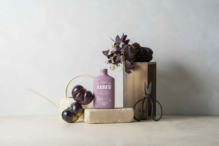 Aesthetic arrangement features a purple Arber bottle, black scissors, a modern watering can, and leafy plant on wooden blocks. The soft background enhances the minimalist vibe while Bio Fungicide Indoor/Outdoor Concentrate promotes plant health through disease protection.