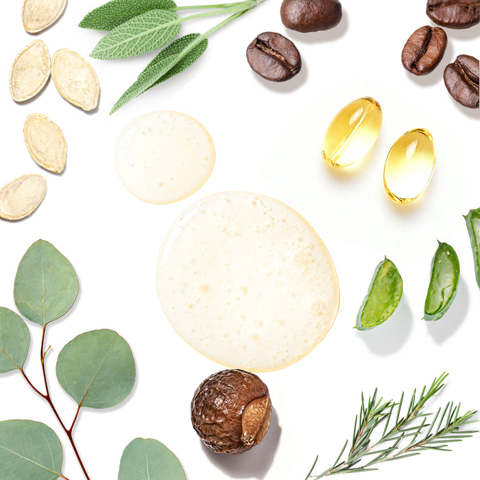 A flat lay featuring Tree To Tubs Biotin & Caffeine Volumizing Shampoo for Sensitive Scalp surrounded by natural elements: pumpkin seeds, sage leaves, coffee beans, golden hair loss prevention capsules, eucalyptus leaves, aloe vera slices for hydration, rosemary, and liquid drops on a white backdrop.