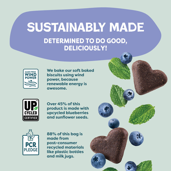 Infographic featuring Shameless Pets Blueberried Treasure Soft-Baked Dog Treats with blueberries and mint, made using wind power, over 45% upcycled ingredients, and 88% post-consumer recycled materials.