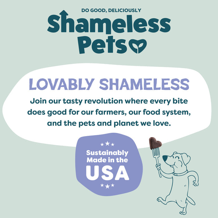 A cartoon dog holds a heart-shaped treat. Text: “Lovably Shameless—Join our tasty revolution with Blueberried Treasure Soft-Baked Dog Treats by Shameless Pets, made in the USA with upcycled ingredients for happy pets and a healthier planet.”.
