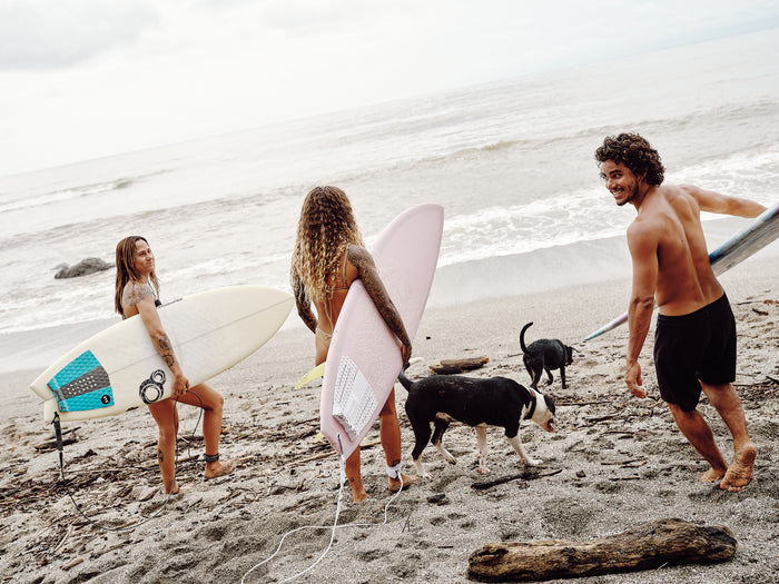 Three people carrying surfboards head toward the ocean on a sandy beach with two dogs. The overcast sky and gentle waves make it an ideal day to try out their BodyShield 50 by Thrive Natural Care. Logs and debris dot the sand, enhancing the rugged beauty of their adventure.