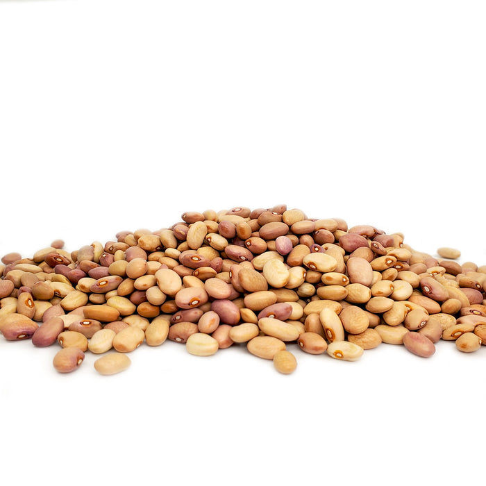 Delicious roundish beans in shades of beige and tan, grown for centuries by the traditional Hispanic communities of northern New Mexico. Similar to pinto, they make wonderful refried beans. 1 lb bag.