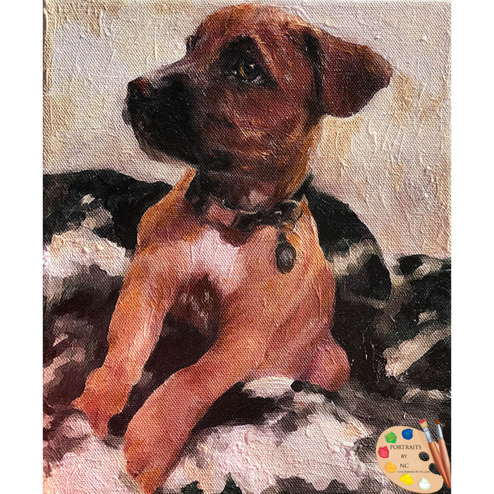 Boxer Puppy Portrait 502 - Portraits by NC