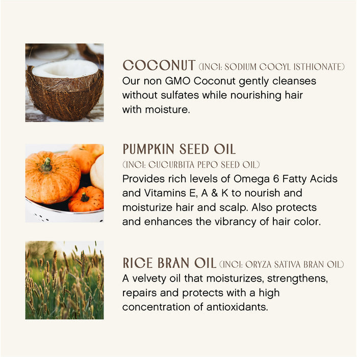 Image displaying three natural ingredients with descriptions. Coconut: Non-GMO, cleanses, nourishes hair. Pumpkin Seed Oil: Rich in Omega 6, vitamins, protects, enhances hair vibrancy. Rice Bran Oil: Moisturizes, strengthens, repairs with antioxidants.