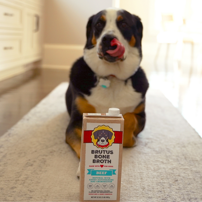 A dog on a rug licks its lips with a carton of Brutus Bone Broth Hip & Joint in the foreground. This natural, beef-flavored broth by Brutus Broth complements the soft lighting of a cozy kitchen or dining area.