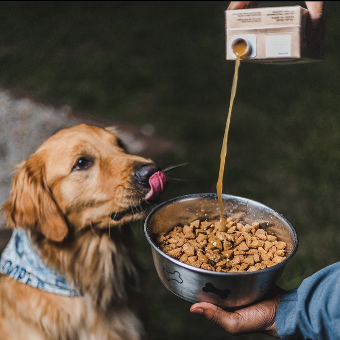 A golden retriever with a patterned bandana eagerly licks its lips, watching someone pour Brutus Bone Broth Hip & Joint from Brutus Broth into dry dog food. The scene takes place outdoors as the dogs attention is completely on the enticing meal.