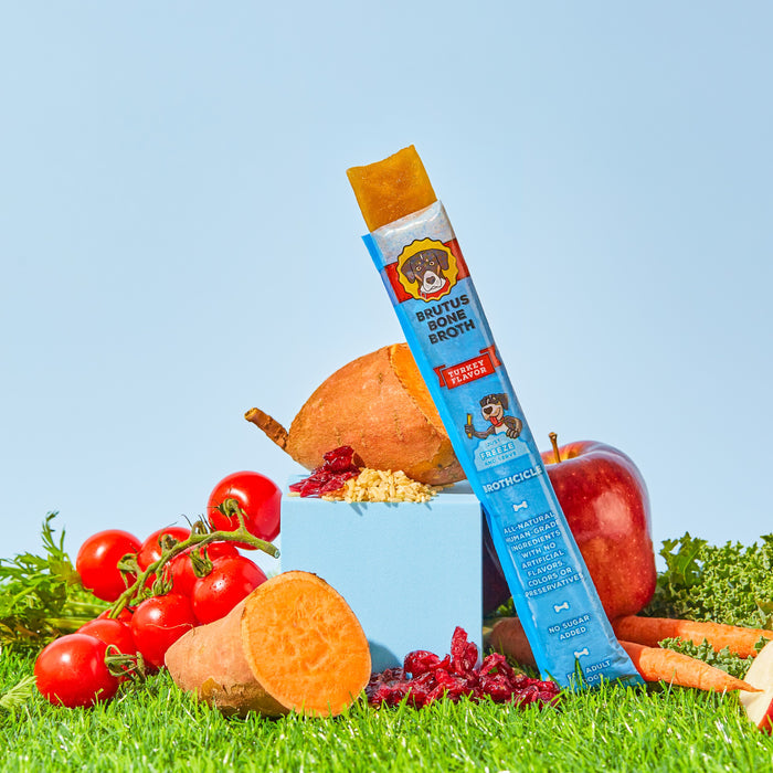 The packaging for Brutus Brothcicles by Brutus Broth showcases a cartoon dog among superfoods like sweet potatoes, tomatoes, apples, and carrots, all on green grass with a blue backdrop.
