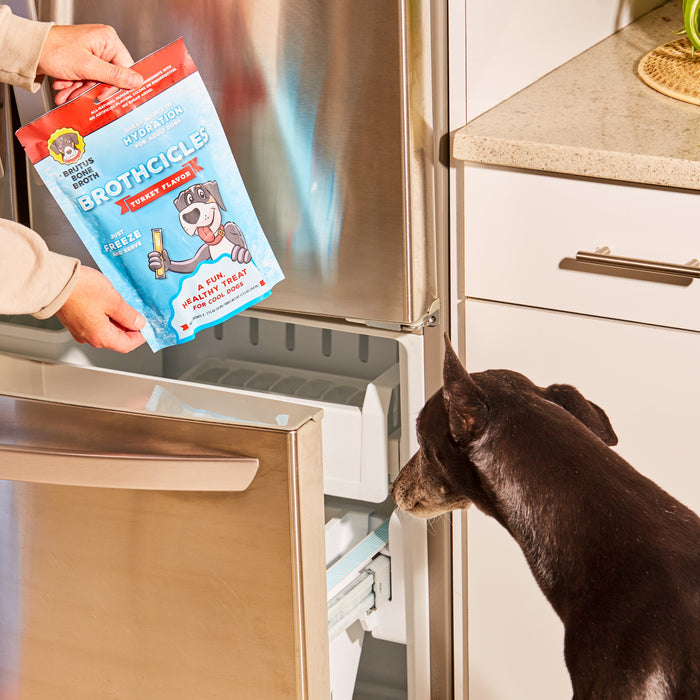 A person holds a package of Brutus Broths Brothcicles in front of an open freezer, while a black dog eagerly eyes the drawer. The kitchen, featuring stainless steel appliances and a light countertop, highlights these all-natural popsicles.