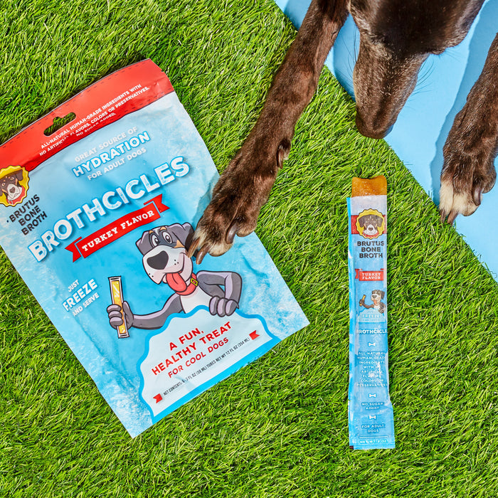 A dogs front legs and paws rest on grass by a blue mat, next to a packet labeled Brutus Brothcicles from Brutus Broth. The packaging features a cartoon dog with an all-natural popsicle made from superfood ingredients, and an opened frozen treat stick is beside it.