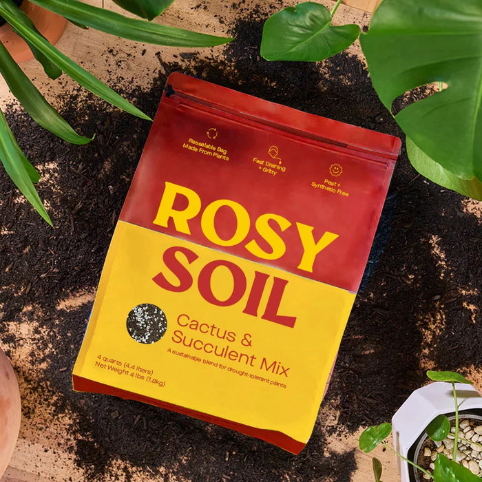 A Rosy Soil Cactus & Succulent Potting Soil Mix bag rests on scattered soil, with its red and yellow sustainable packaging highlighting Rosy Soil in bold. Surrounded by greenery, it emphasizes benefits like moisture retention and improved soil aeration for optimal plant health.