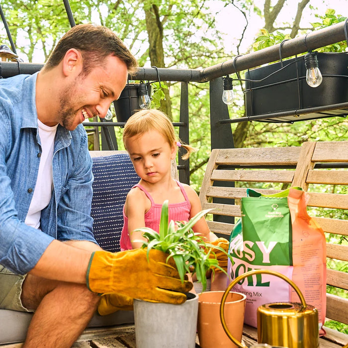 A man and a child pot plants on a balcony bench using Rosy Soils Cactus & Succulent Potting Soil Mix for optimal growth. The man wears gardening gloves, with the sustainably packaged potting mix and a watering can nearby. String lights decorate the railing.
