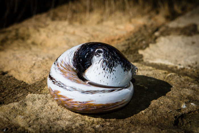 Calico glass cat paperweight perched on a circular base with cremains visible under clear glass.