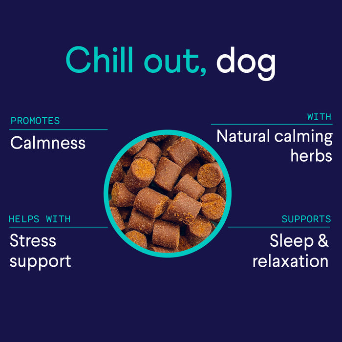 Image of a promotional graphic for dog treats. Text at the top reads "Chill out, dog" in large letters. The graphic promotes calmness, stress support, and sleep & relaxation with natural calming herbs. The center features an image of the cylindrical treat