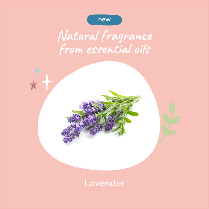 A bunch of fresh lavender on a light pink background with text: New natural fragrance from essential oils. Kin+kinds Calming Lavender Waterless Bath for Cats & Dogs is perfect for waterless bath solutions or foaming pet shampoo. Decorative stars and leaves enhance the image.