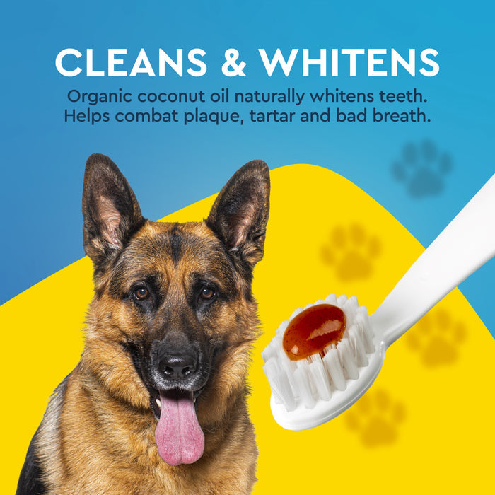 A German Shepherd sits by the Radius Canine Organic Dental Solutions Kit, All Ages, 3 CT. Text: Cleans & Whitens. With organic coconut oil to help naturally whiten teeth and fight plaque, tartar, and bad breath. Paw prints in the background.