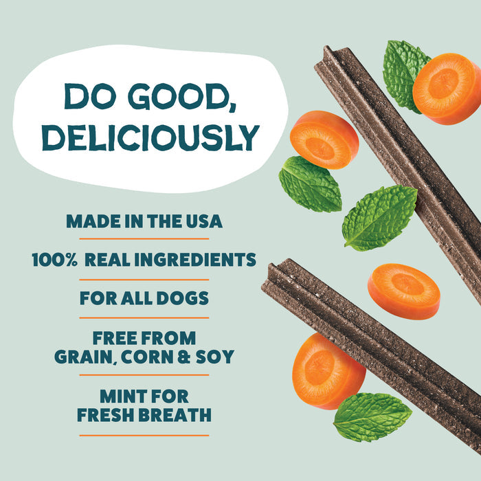 Shameless Pets Carrate Chomp Dental Stick—grain, corn, and soy free dog dental treat with mint leaves and carrots. Made in the USA with all-natural ingredients to help clean dogs’ teeth. Light green background.