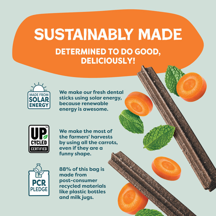 Shameless Pets Carrate Chomp Dental Stick features eco-friendly, upcycled ingredients like carrot slices, mint leaves, and salmon oil. Made using solar energy and a pledge for recycled packaging—all on a vibrant green background.