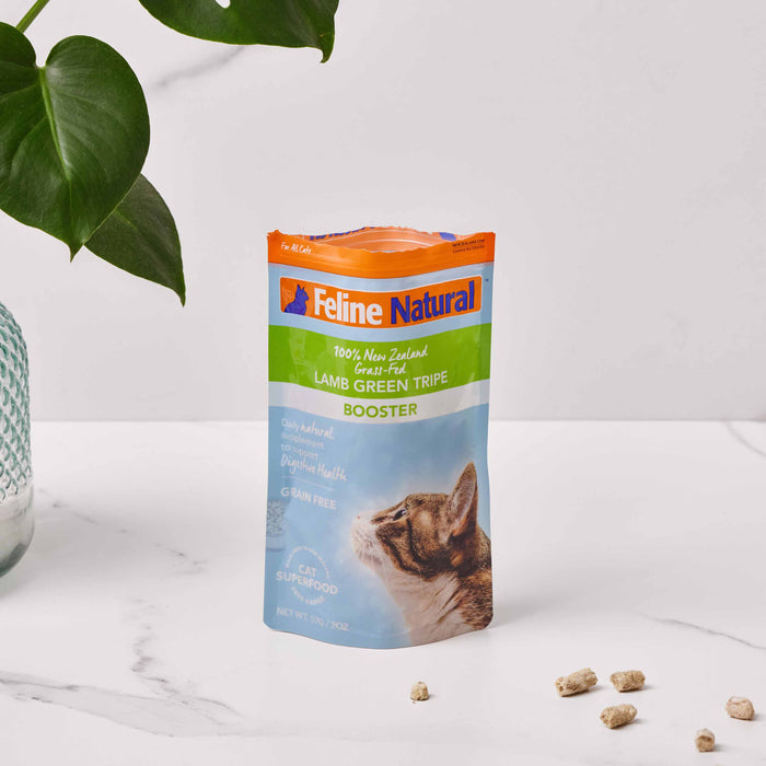 On a marble surface sits a package of Feline Natural Grain-Free Freeze-Dried Cat Food Supplement, with vibrant blue, orange, and green packaging featuring a cat image. Nearby lie several Green Tripe pellets, while a plant in the background adds a natural touch.