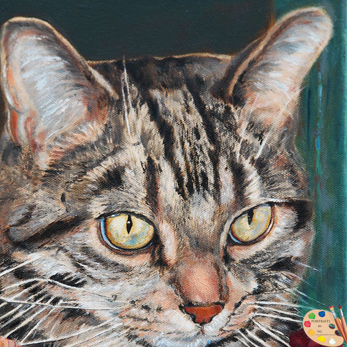 Cat Portrait Cooper 148 - Portraits by NC