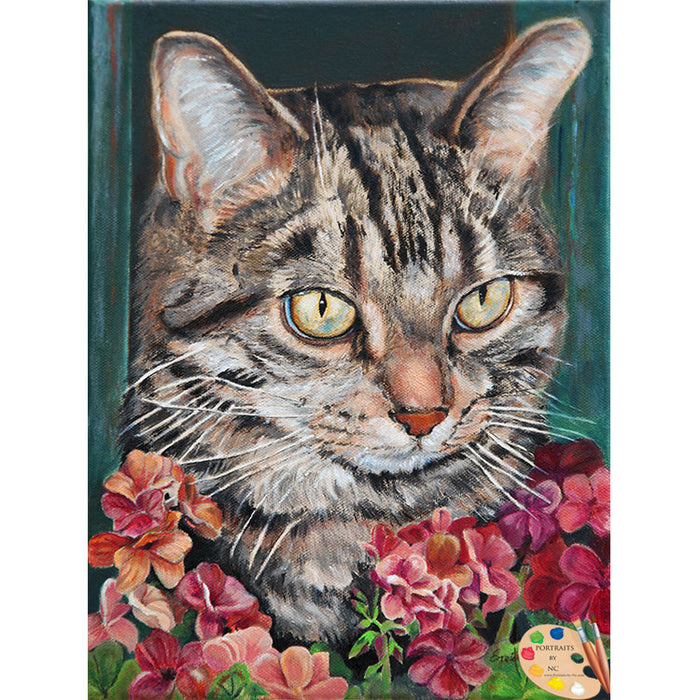 Cat Portrait Cooper 148 - Portraits by NC