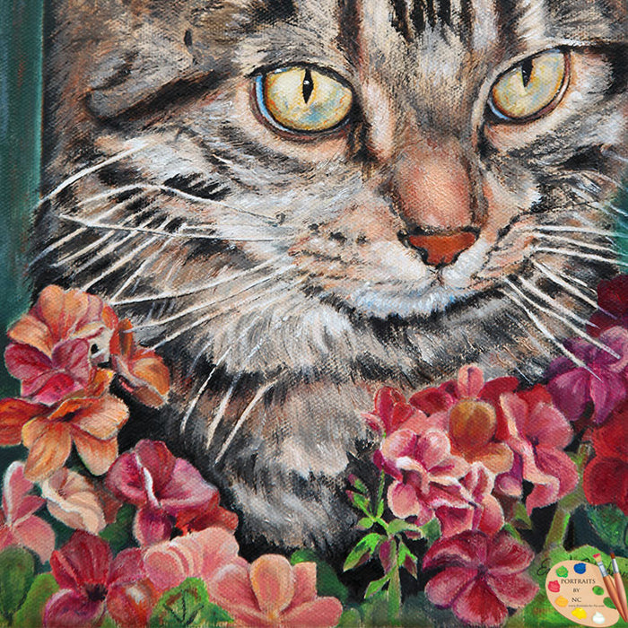 Cat Portrait Cooper 148 - Portraits by NC