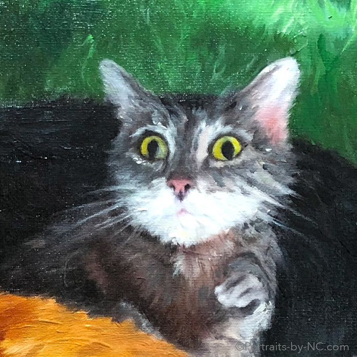 Cats Group Portrait in Oil 684 - Portraits by NC