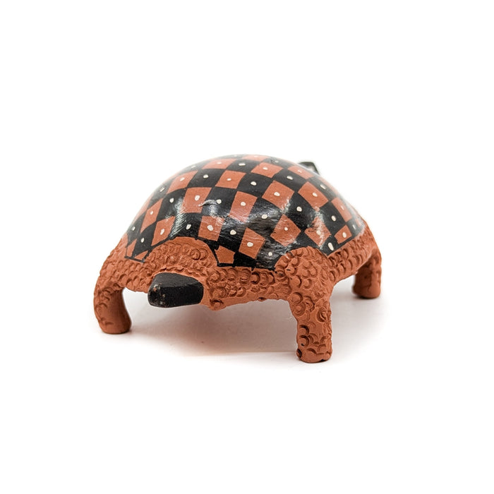 Checkerboard Tortuga