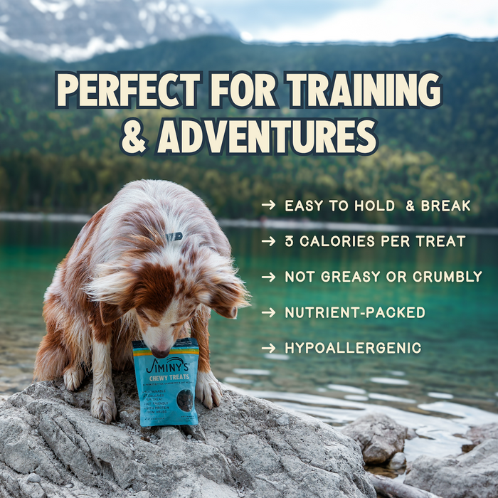 A dog sits by a lake with mountains, holding a blue bag of Jiminy's Chewy Peanut Butter & Cranberry Training Treats—hypoallergenic, nutrient-packed, low-calorie treats that are easy to hold and allergy-friendly.
