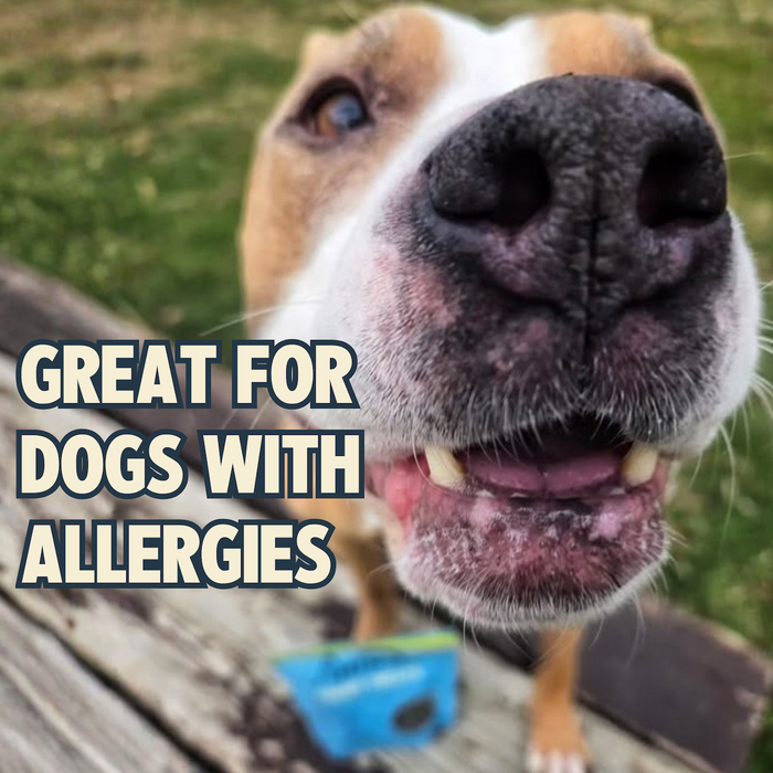 A close-up of a dog’s face with chin irritation. Text reads, Great for dogs with allergies. In the background, a blue bag of Jiminy's Chewy Peanut Butter & Cranberry Training Treats is on the ground.