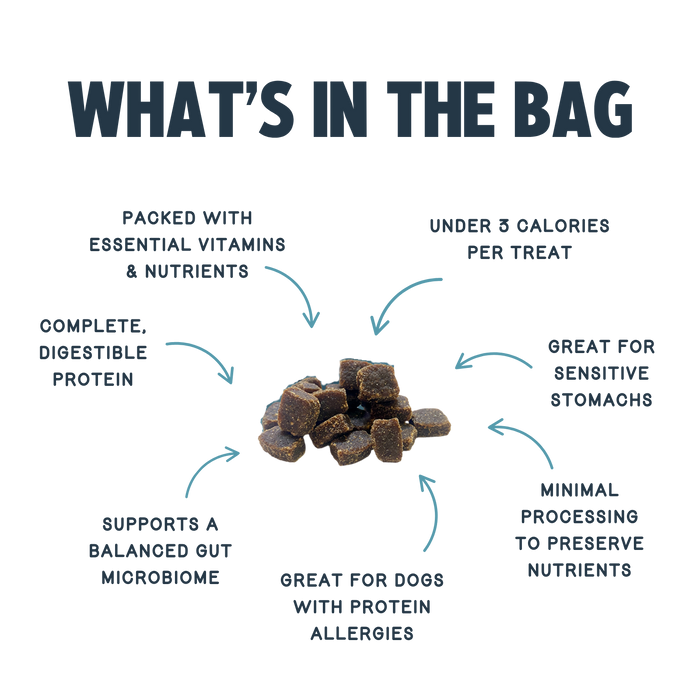 Jiminy's Chewy Peanut Butter & Cranberry Training Treats: allergy-friendly, packed with vitamins, under 3 calories each, minimally processed, great for sensitive stomachs, supports gut health—alternative protein for optimal digestion.
