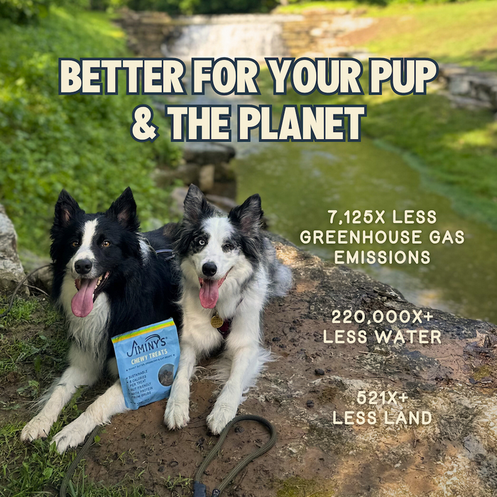 Two happy border collies sit on grass by a creek with a bag of Jiminy’s Chewy Peanut Butter & Cranberry Training Treats. Text: “Better for your pup & the planet—7,125x less greenhouse gas, 220,000x+ less water, 521x+ less land.”.