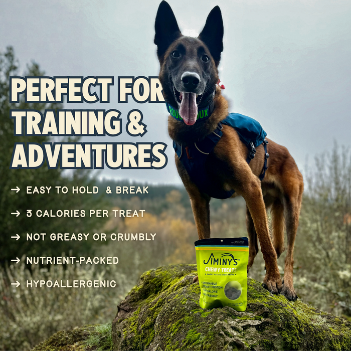 A brown dog wearing a harness stands on a mossy rock next to a bag of Jiminy’s Chewy Sweet Potato & Peas Training Treats—perfect for training, easy to hold, low calorie, non-greasy, nutrient-packed, and hypoallergenic.