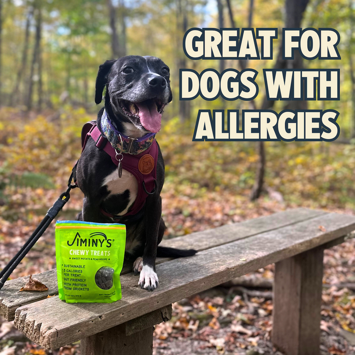 A black and white dog in a harness sits on a wooden bench in the forest next to a bag of Jiminy’s Chewy Sweet Potato & Peas Training Treats. Text: “Great for dogs with allergies.”.