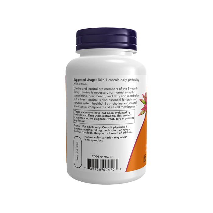 A white bottle with a blue cap showcases NOW Foods Choline & Inositol - For Nervous System Health. The label features suggested usage, ingredients like choline and inositol, an adult-only caution, and an echinacea flower image.