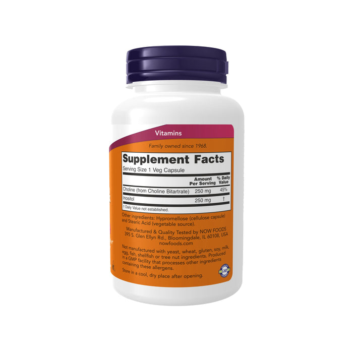 NOW Foods Choline & Inositol vitamins come in a white bottle with a purple cap, featuring supplement facts. Each capsule contains 250 mg of Choline (from Choline Bitartrate) for brain health. Ingredients include Hypromellose, Ascorbyl Palmitate, and Silica. Store cool and dry after opening.