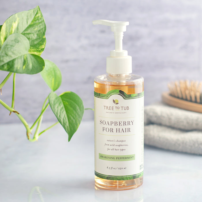 A Tree To Tub Clarifying Shampoo bottle for oily hair and sensitive scalp sits with a pump on a surface. The label says Soapberry for Hair, Awakening Peppermint. Nearby are a green plant and folded towels.
