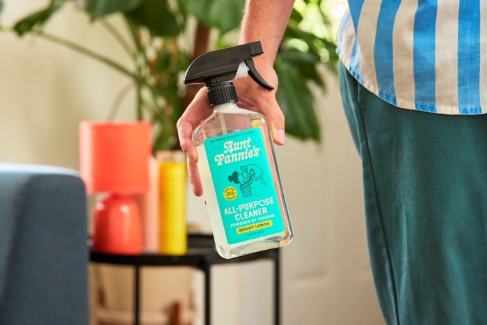 A person holds a spray bottle of Aunt Fannies Cleaning Vinegar For Cats in a bright living room with houseplants, an orange lamp, and a yellow vase on a side table in the background.