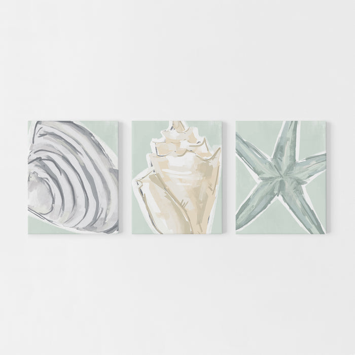 Coastal Finds Triptych - Set of 3