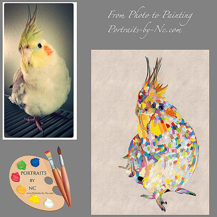 Cockatoo Bird Portrait 354 - Portraits by NC