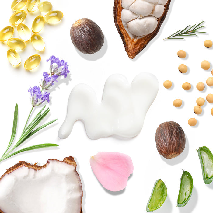 Overhead view of natural ingredients on a white background, featuring vitamin capsules, nuts, seeds, coconut pieces, aloe vera slices, rosemary, a flower petal, and Tree To Tub’s Cocoa & Shea Butter Anti-Aging Hand Cream for Dry Hands with a luxurious white texture.
