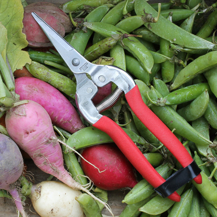 Womansworks Compact Pruning Shears with red handles are elegantly placed on a pile of fresh green peas and variously colored radishes, highlighting vibrant purple, pink, and white shades.