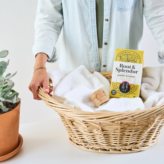 A person in a light denim shirt holds a wicker laundry basket full of white towels and a box of Root & Splendor Concentrated Laundry Detergent, known for its eco-friendly formula. A small potted succulent nearby adds a touch of nature to the scene.