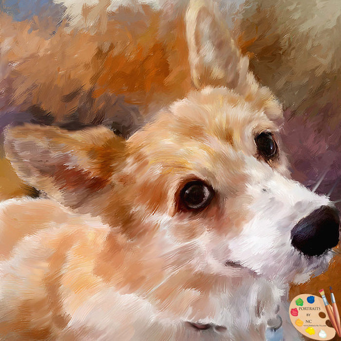 i Dog Portraits
