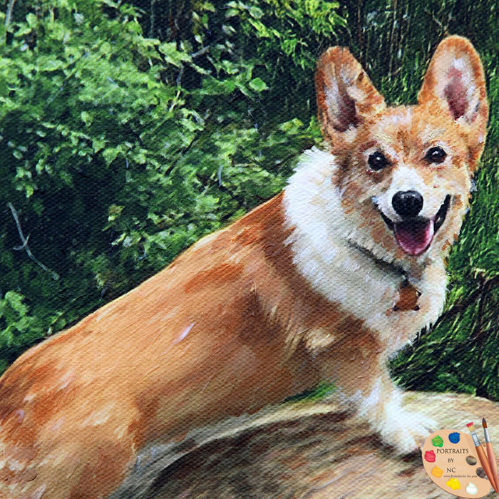 Corgi Pet Portrait