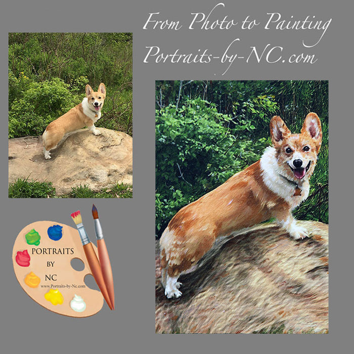 Corgi Pet Portrait from Photo