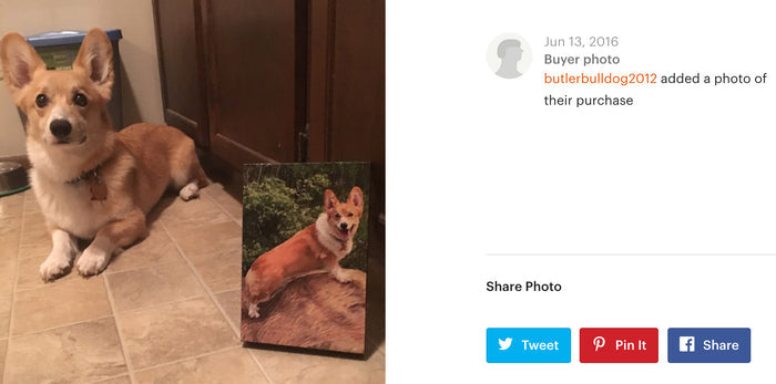 Corgi with his portrait