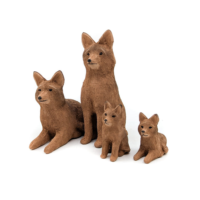 Coyote Family
