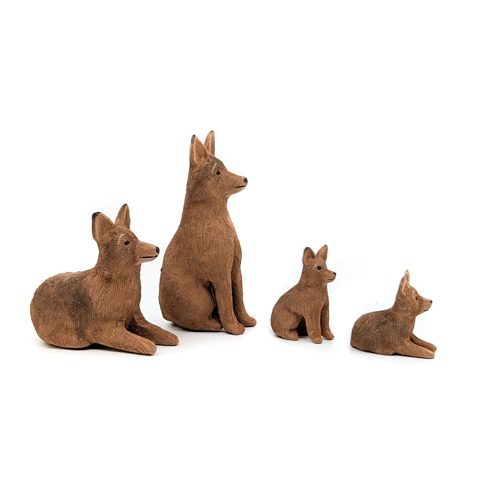 Coyote Family
